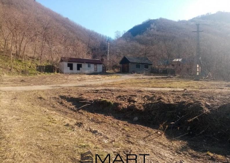 Teren extravilan 7432 mp, cu cabana de lemn Capalna AB - 11