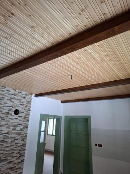 Casa, teren si padure de vanzare-40.000 mp, direct proprietar in Apuseni. - 10