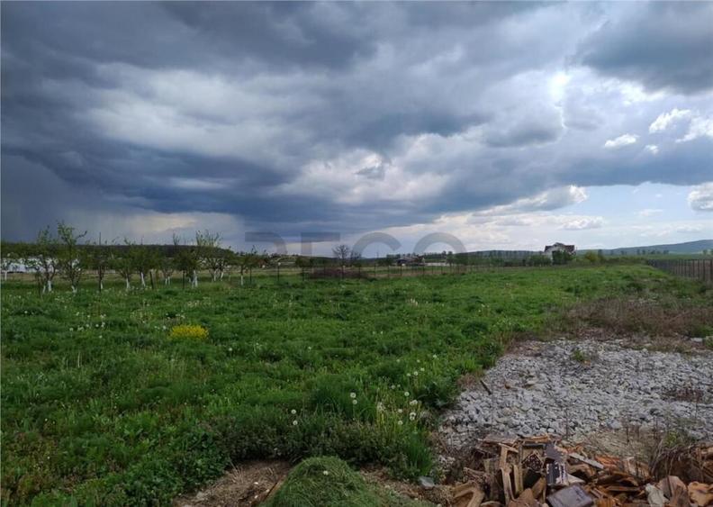 RECO Teren intravilan, Paleu - 2