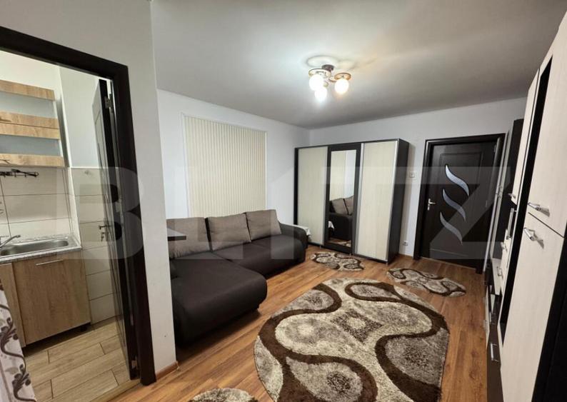 Garsoniera de inchiriat, 32mp, Brazda lui Novac - 2