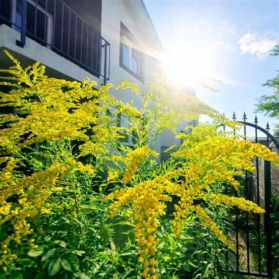 Constructie noua, curte individuala, terasa, toate utilitatile, Izvor-Tarlungeni - 2