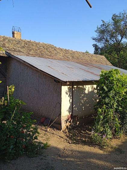 Casa comuna Giubega 45km craiova - 10