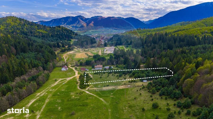 Teren de 10000 mp, în Brebina