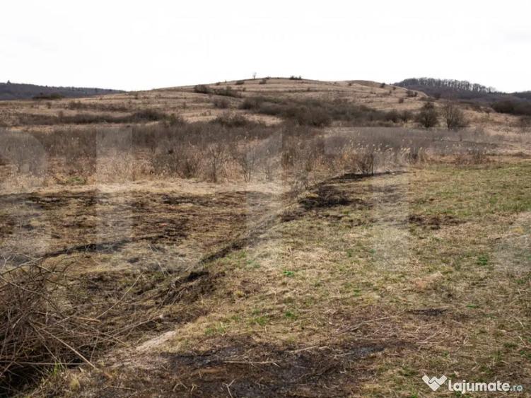 Teren 7088 mp in Borhanci achizi?ie integrala sau sep - 9
