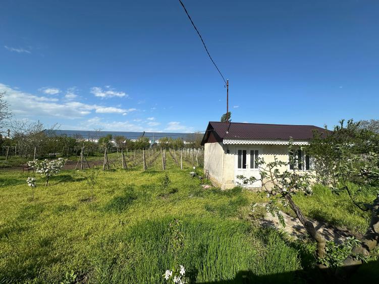Vand loc de casa - 1