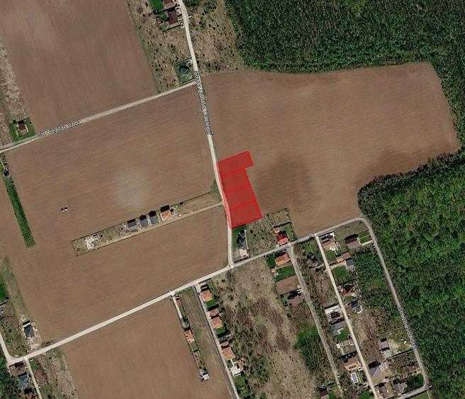 Snagov Ciofliceni Padure - 1