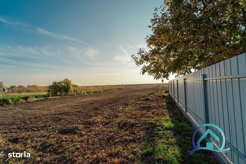 Teren 8 000 mp Arad Variasu Mare 47 000 se accepta plata in rate! - 3