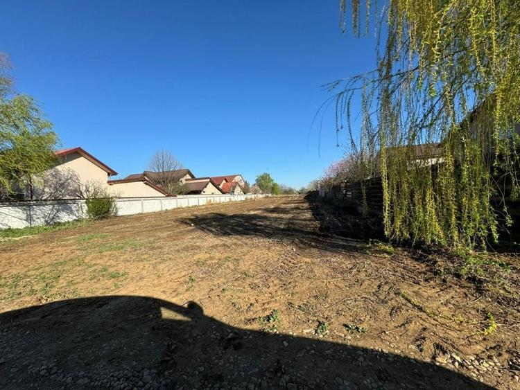 Domnesti, Drumul Targului, teren 1250mp, deschidere 20ml, utilitati. - 1