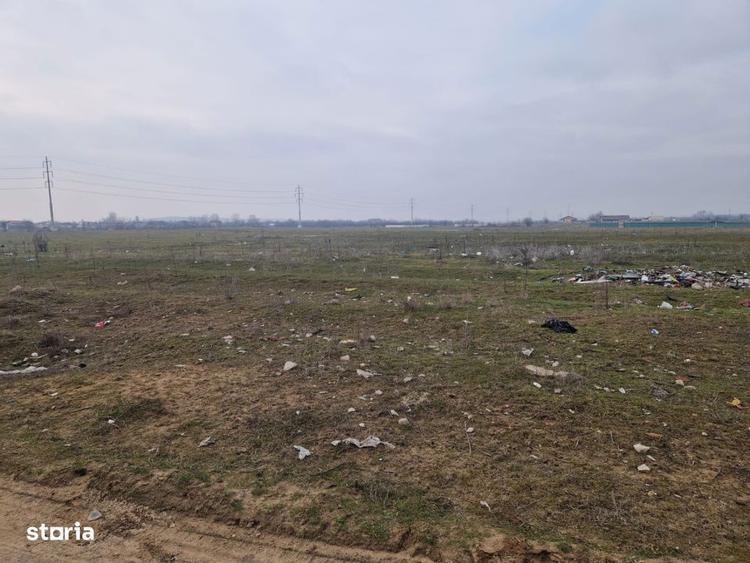 Teren extravilan parcelat, suprafata 726 mp, Cernele - 2