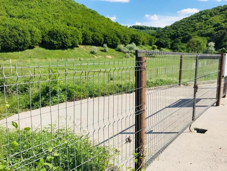 BABADAG -TEREN INTRAVILAN , 1000 MP - 1