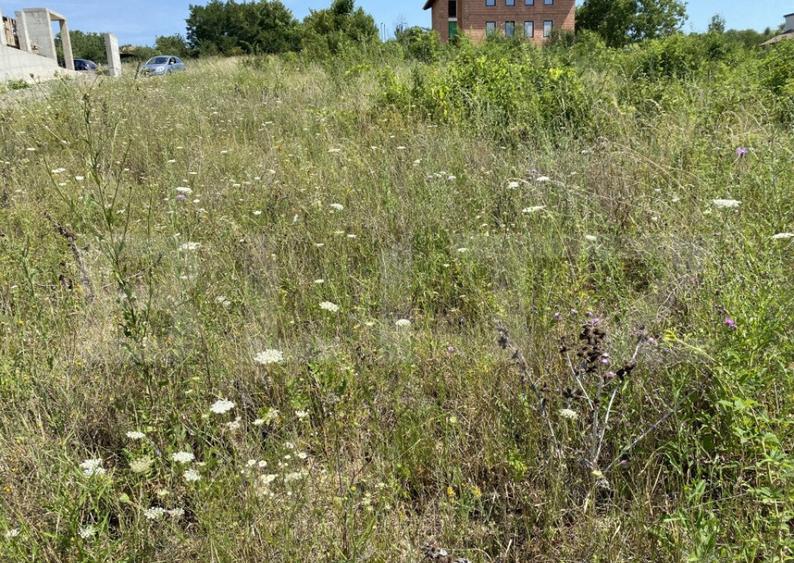 Teren intravilan in Livada Meses cu toate utilitatile - 4