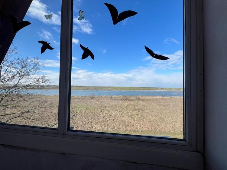 Vila tip pensiune P+1+M, Eforie Sud, teren 607 mp, 145.000 euro - 4