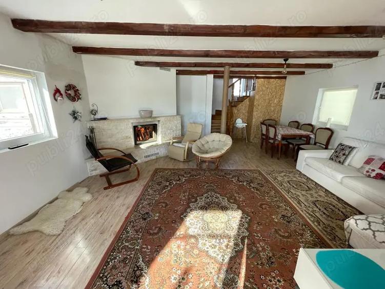 Vand cabana la Belis - 3