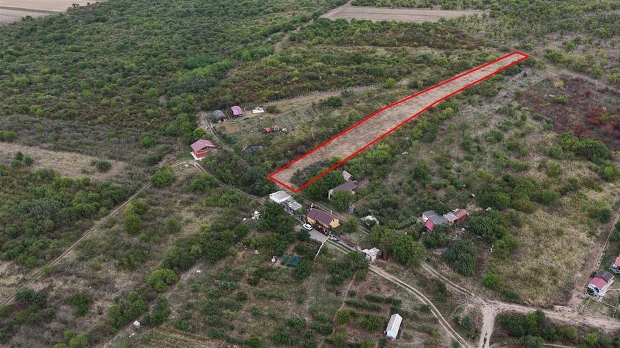 RECO Teren Episcopia - 5