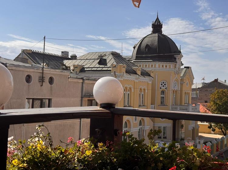 Cismigiu, priveliste superba,  vila consolidata si renovata total. - 5