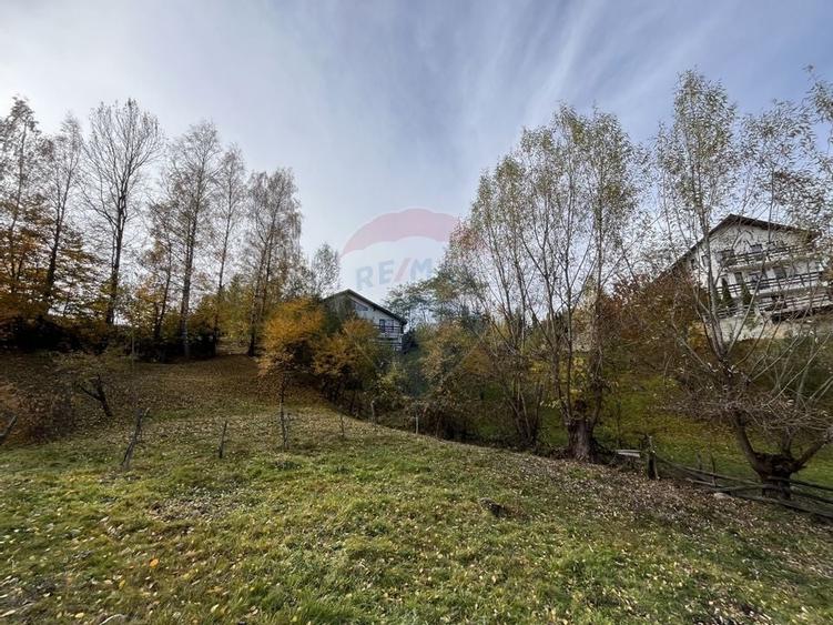 Teren de Vis in Bran - 1000mp Plat, Liniste Absoluta si Aer Curat - 16