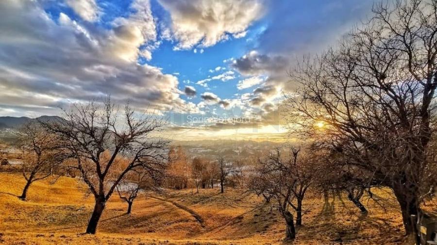 REL4001138 Teren de vanzare in Bran I Sohodol