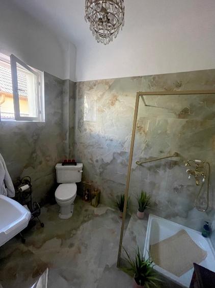 Casa individuală Gavril Musicescu . Timisoara  - 7