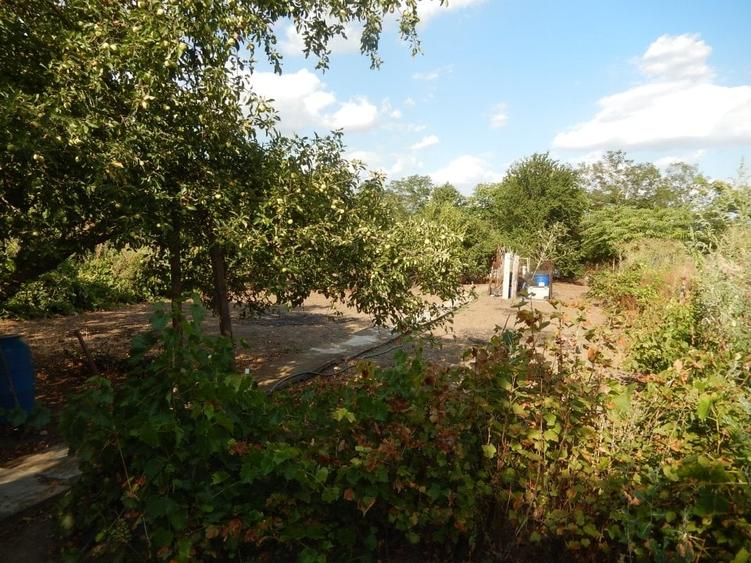 Calugareni-Branistari-casa 4 camere, teren 1965 mp, curent, put, libera,69900 € - 29