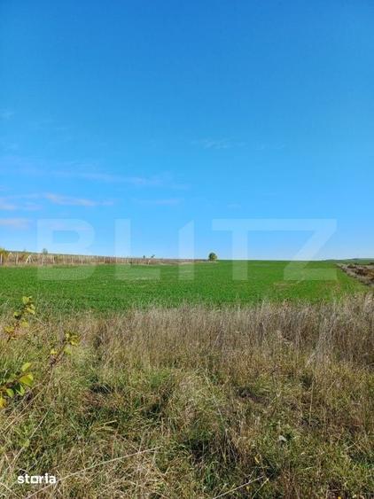Teren de 2877 mp, în Săndulești