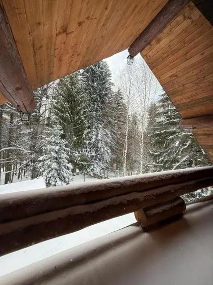 Complex turistic eco-integrat Predeal (Trei Brazi) - 9