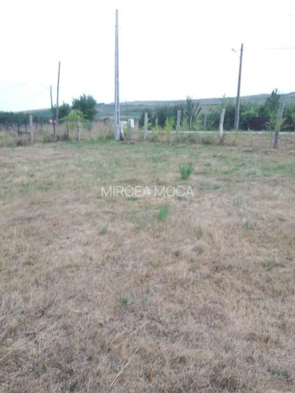 Teren intravilan Luna de Jos 9800 mp front la DJ 52,2 m