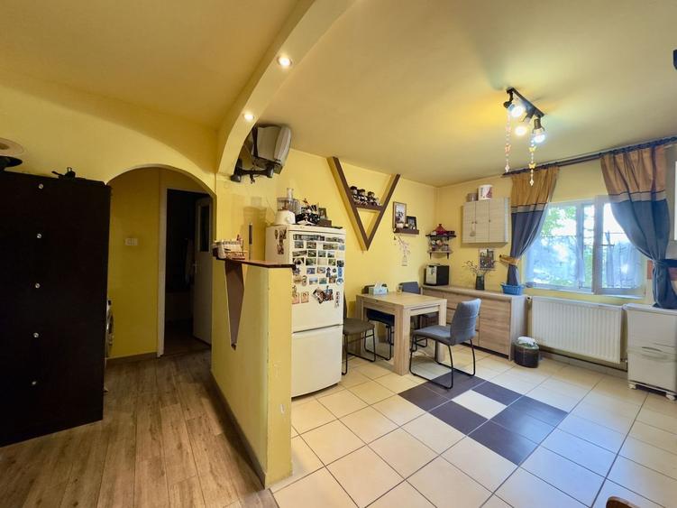 Lipovei, Centrala proprie, 54 MP - 1