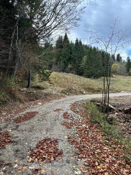 Teren in suprafata de 11 310  mp situat in Rasnov, Paraul Rece - 6