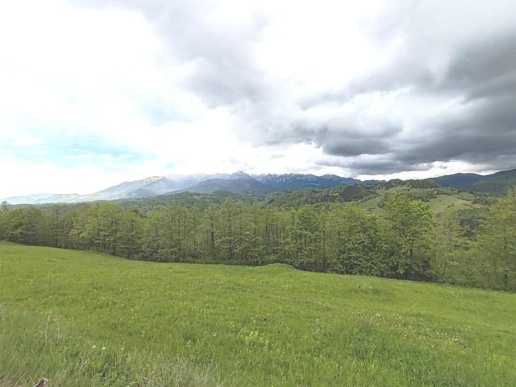 Oportunitate rara! Teren 7.283 mp, investitie garantata - 5