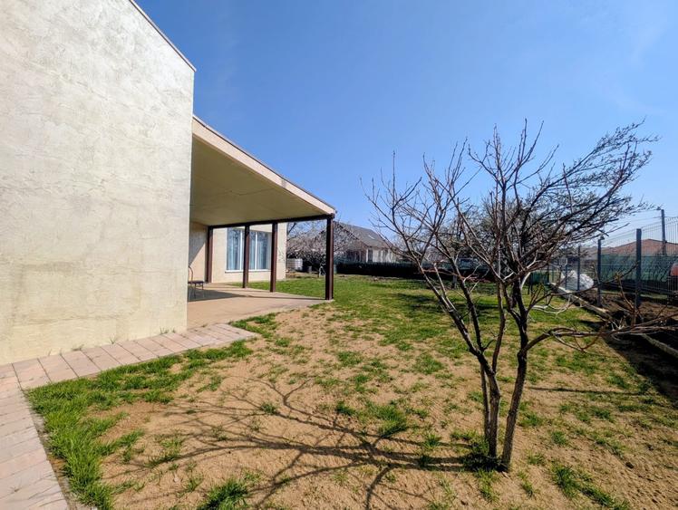 Casa unde copii cresc liberi: Povestea de pe strada Marin Sorescu - 14