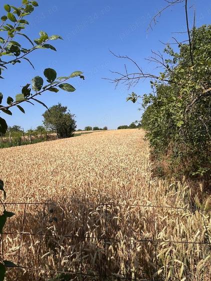 Gospodarie de vanzare - 3