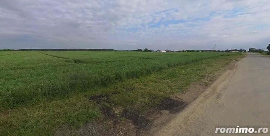 25000 mp intravilan-acces A3- deschidere 50 ml, asfalt si utilitati - 2