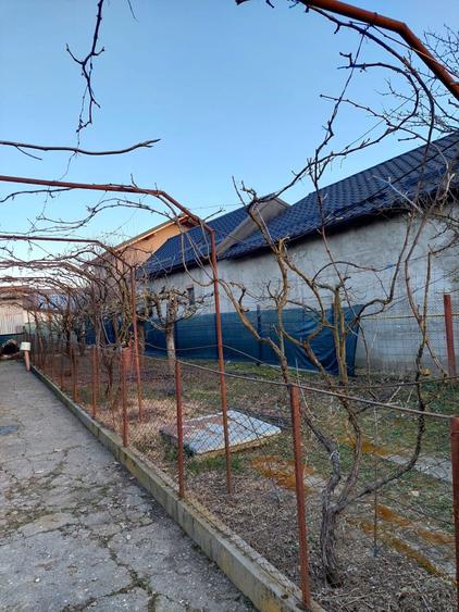 Vand casa si gradina - 3