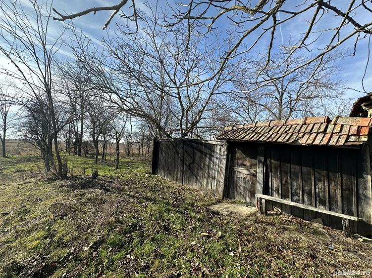 Vand Casa in Siclau Judet Arad Teren 1500Mp - 4