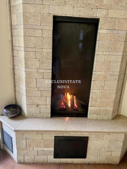 Vanzare Vila Baneasa - Willbrook - cu Deschidere la Padure ! - 23