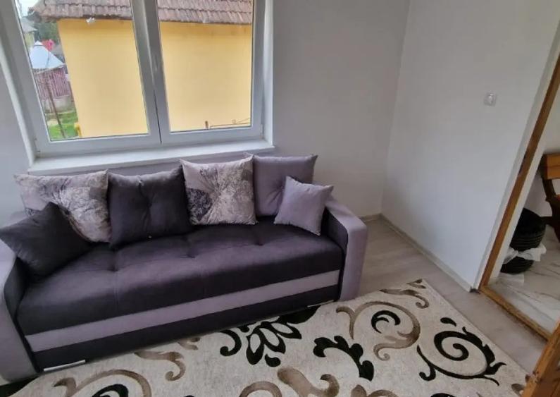 Casa in Certeju de Sus, Hunedoara, persoana fizica - 11