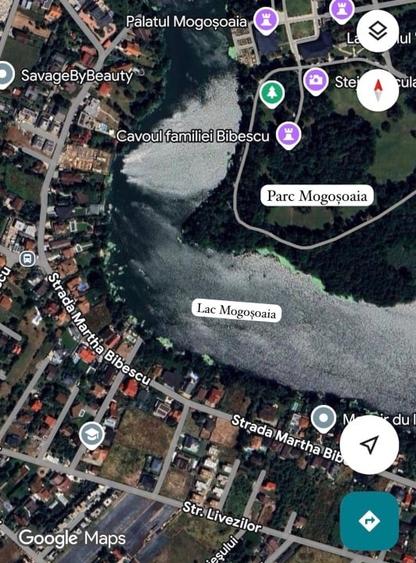 Teren Mogoșoaia - lângă lac - Martha Bibescu - 1