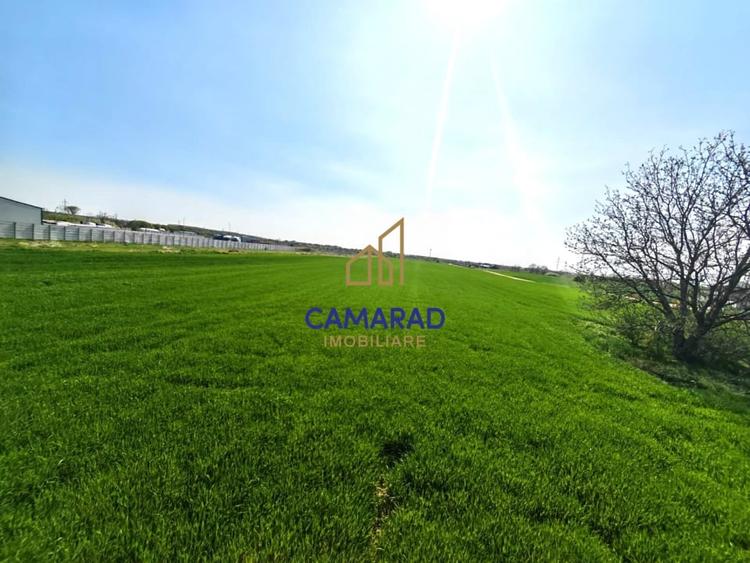 Teren Construcții intravilan de 13602 mp, în Dragomirești-Vale