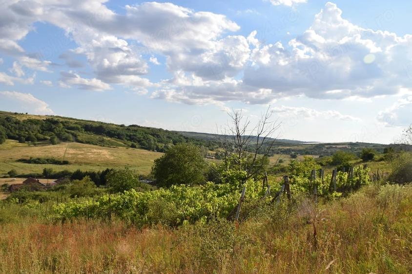 Teren de 1500 mp, în Uileacu de Munte
