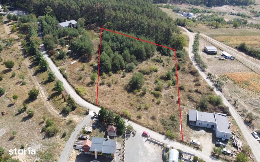 Teren de 5000 mp, în Porolissum