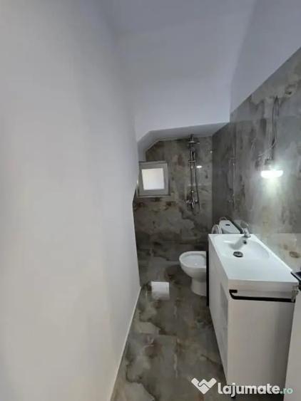 Casă cu 5 camere cu Teren 252 Mp în Valea Lupului