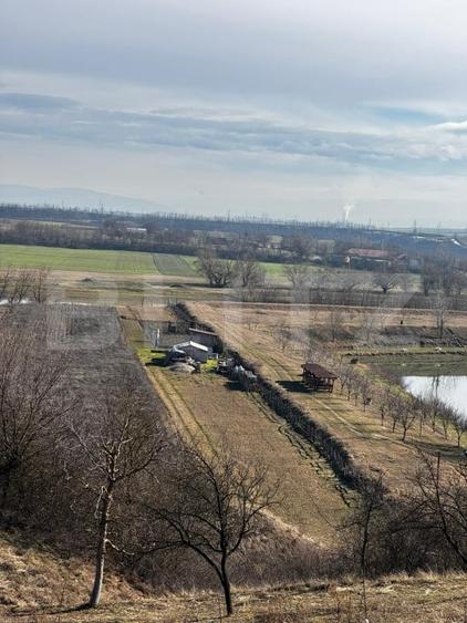 Teren agricol extravilan de 3100 mp, în Vințu de Jos