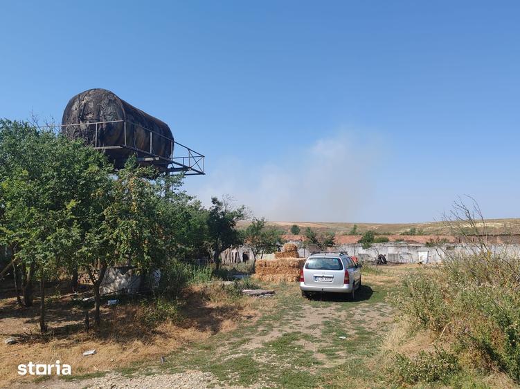Teren de 9795 mp, în Rădoiești