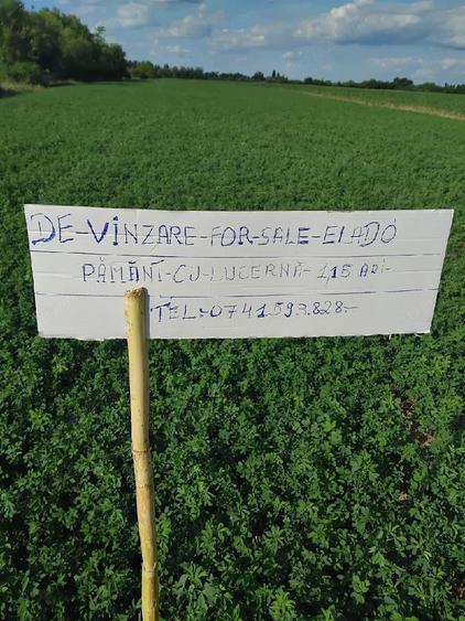 vind teren - 1