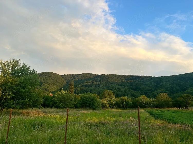 Teren de 5400 mp, în Copalnic