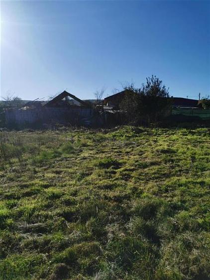 Teren de vanzare in Nifon Tulcea - 1