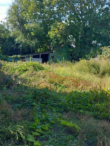 Casa de vinzare 1 Decembrie Ilfov - 7