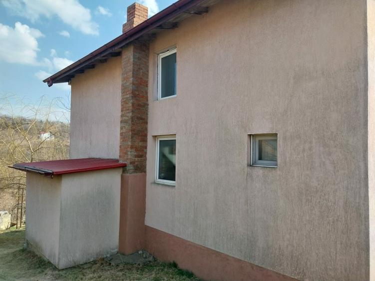 Casa individuala 180 mp zona Viticultori - 7