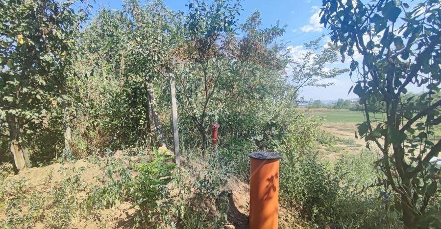 Loc de casa si teren cultivat cu vita de vie 1,28 Ha Sant... - 15