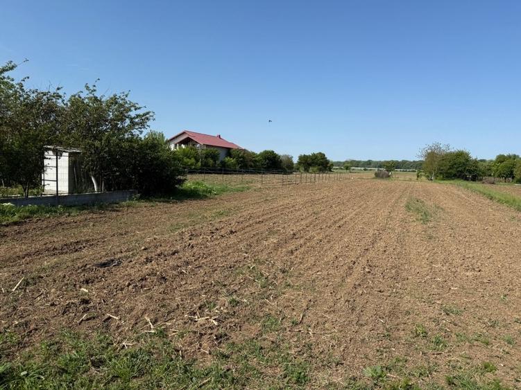 De vanzare 2 loturi de teren de 500mp in Ciorogarla, Str. Cartonari - 3